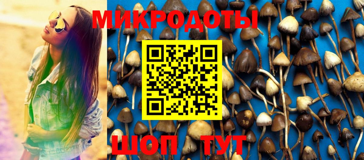Псилоцибиновые грибы Cubensis Александров